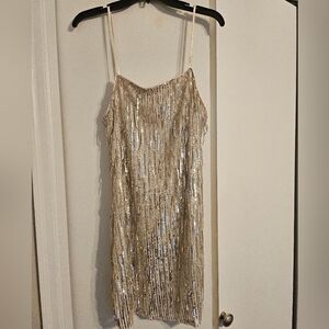 Gold Sequin Fringe Dress